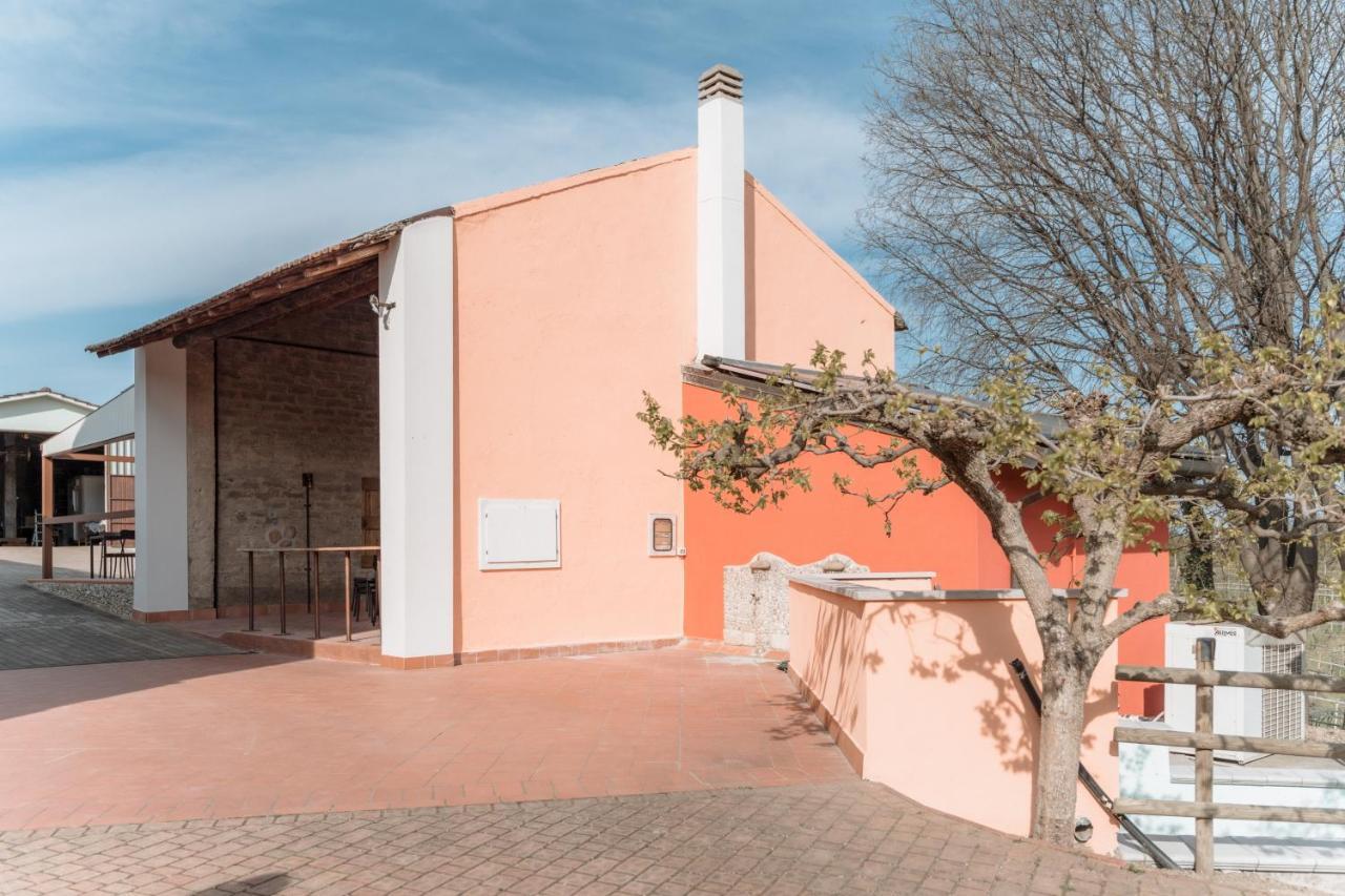 Agriturismo San Francesco Valeggio sul Mincio Kültér fotó