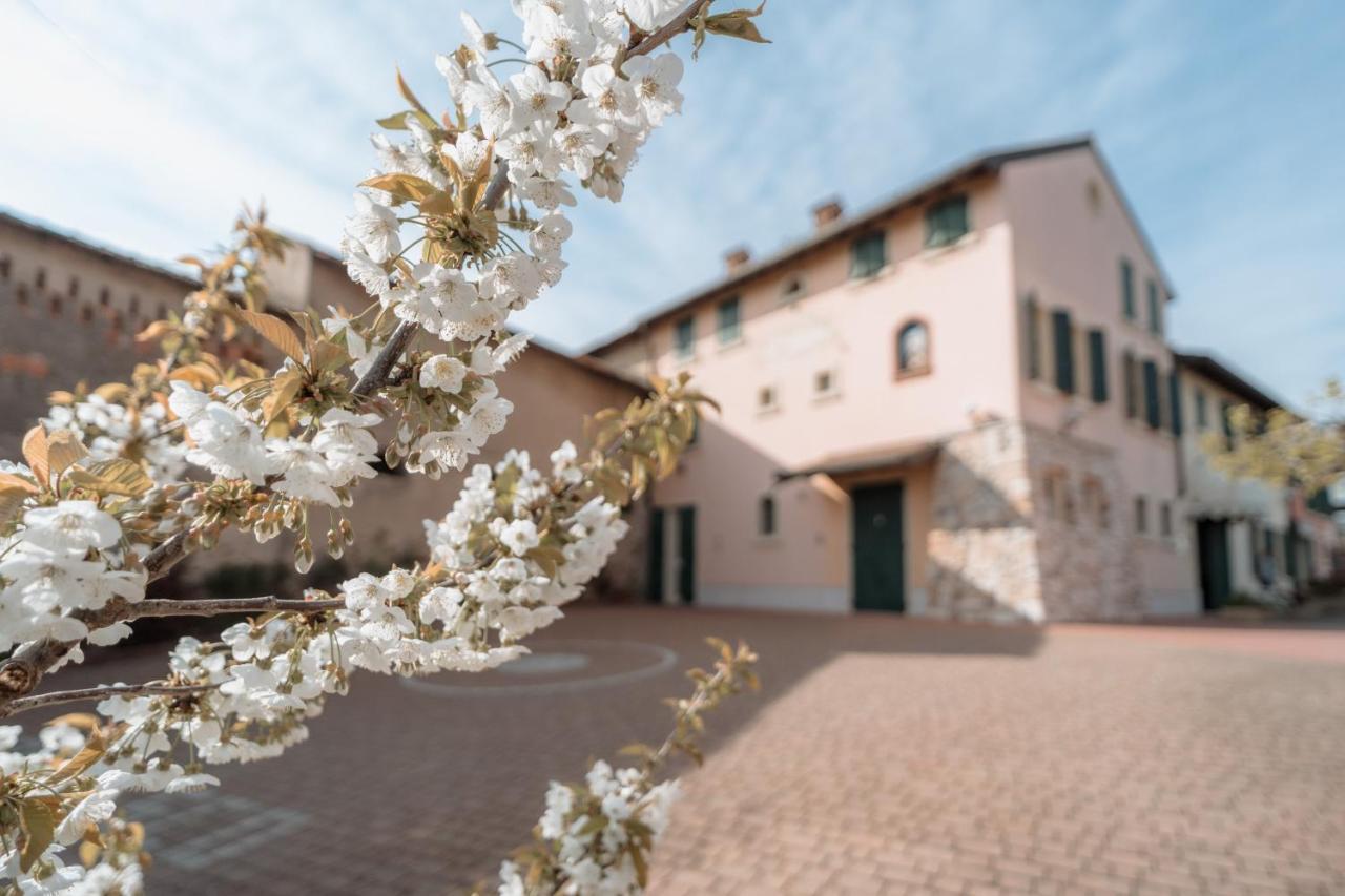 Agriturismo San Francesco Valeggio sul Mincio Kültér fotó