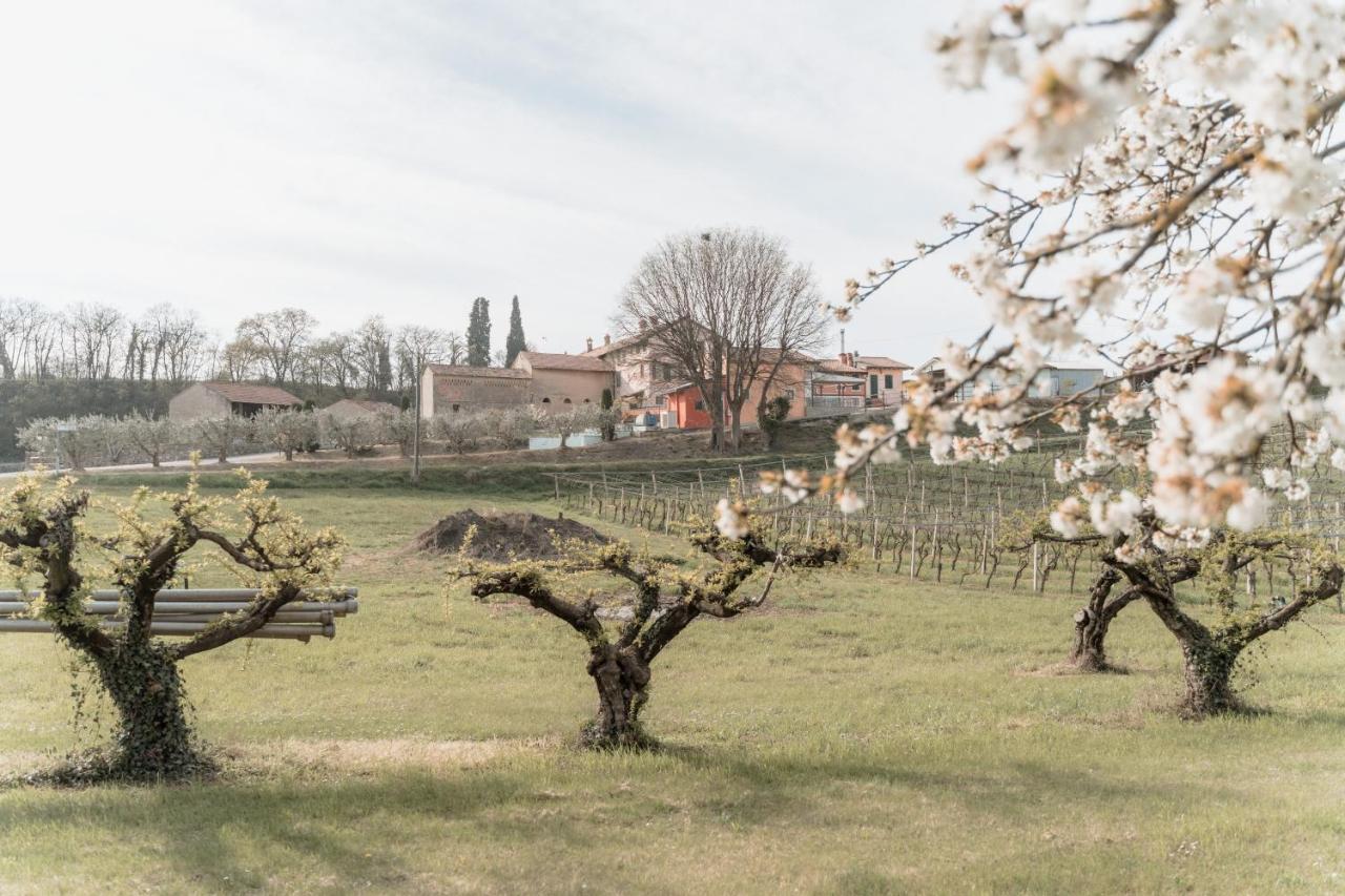 Agriturismo San Francesco Valeggio sul Mincio Kültér fotó