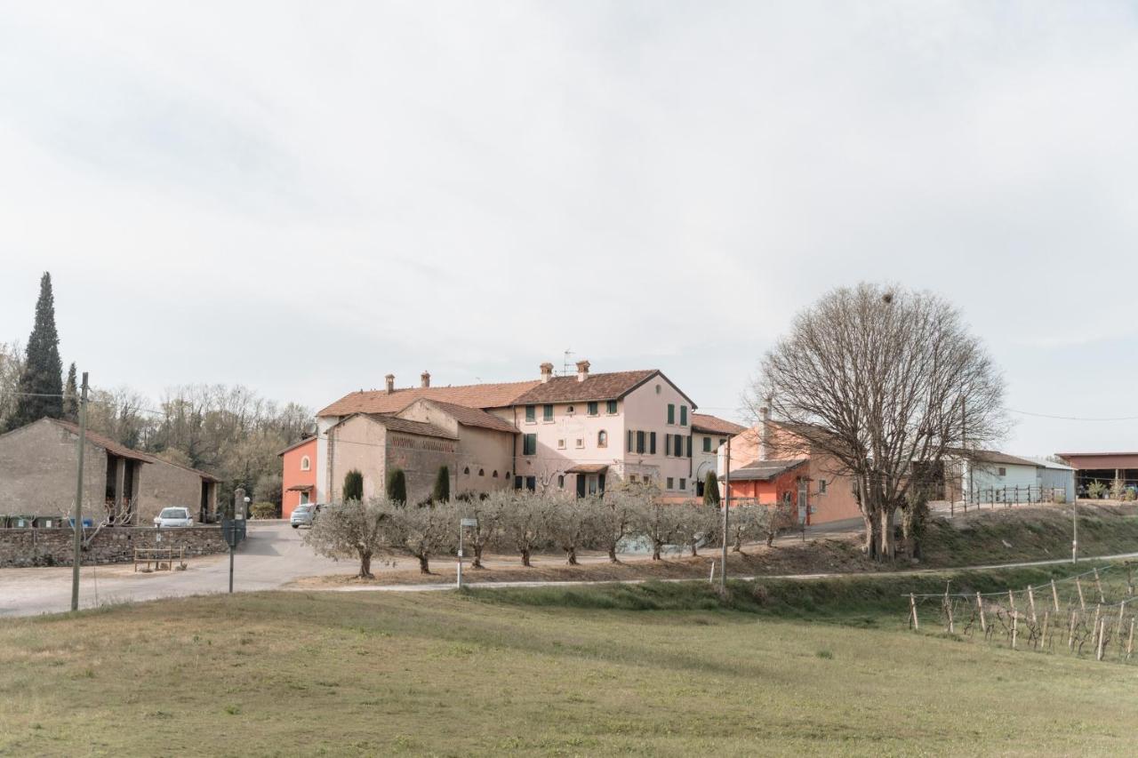 Agriturismo San Francesco Valeggio sul Mincio Kültér fotó