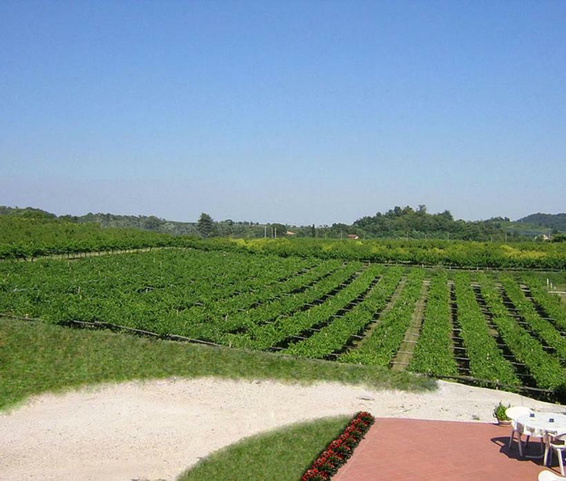Agriturismo San Francesco Valeggio sul Mincio Kültér fotó