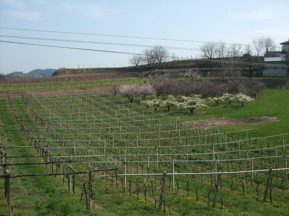 Agriturismo San Francesco Valeggio sul Mincio Kültér fotó